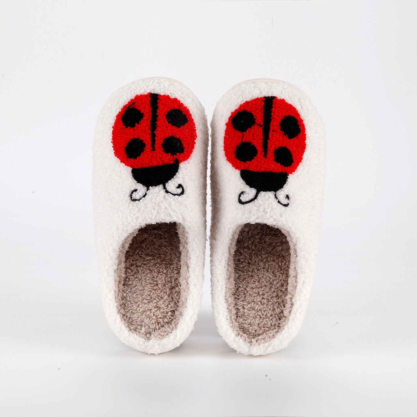 4061-LadyBug
